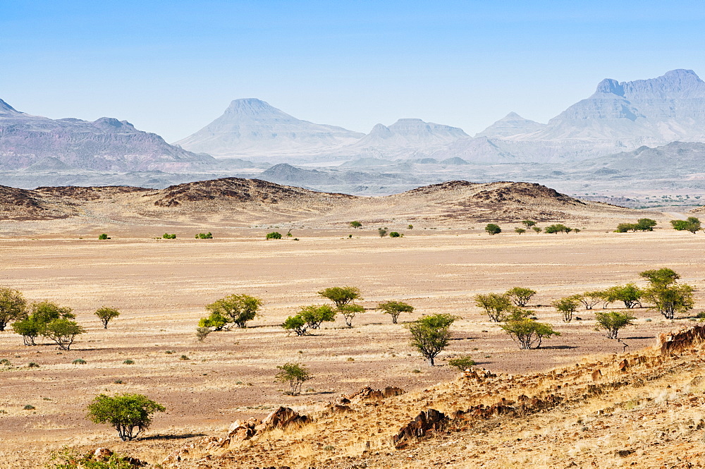 Damaraland, Kunene Region, Namibia, Africa