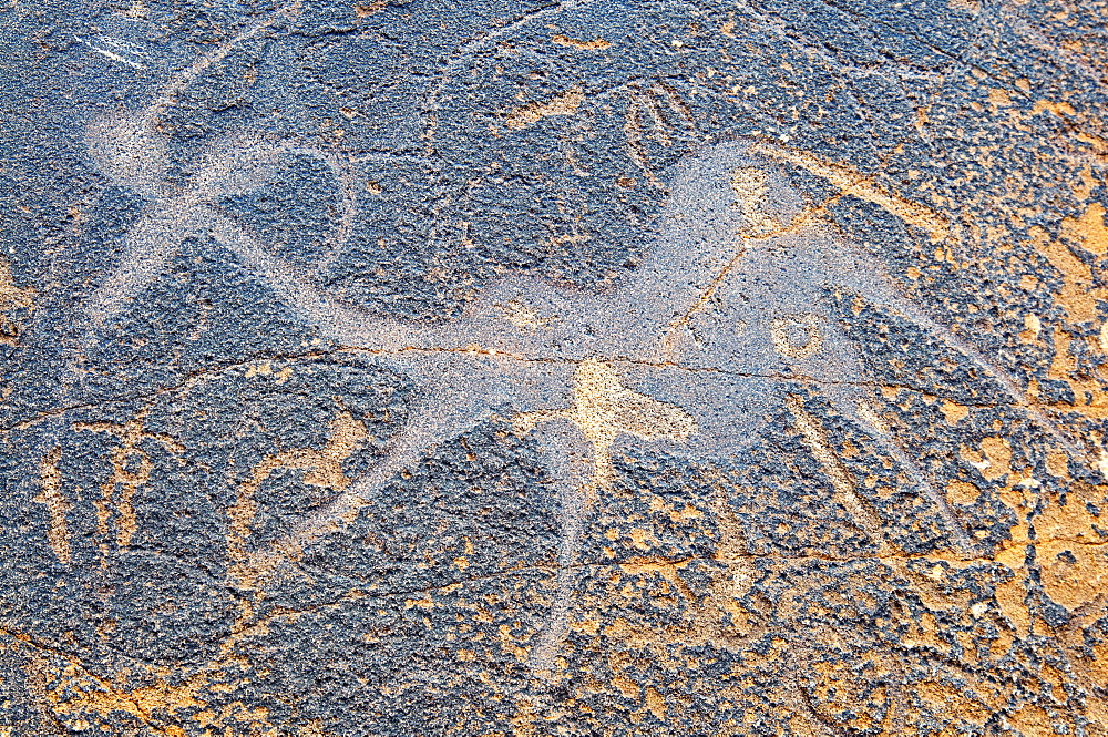 Petroglyphs or rock engravings, Twyfelfontein, UNESCO World Heritage Site, Damaraland, Kunene Region, Namibia, Africa