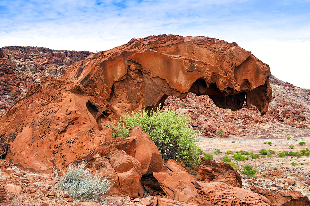 Dinosaur head rock, Twyfelfontein, UNESCO World Heritage Site, Damaraland, Kunene Region, Namibia, Africa