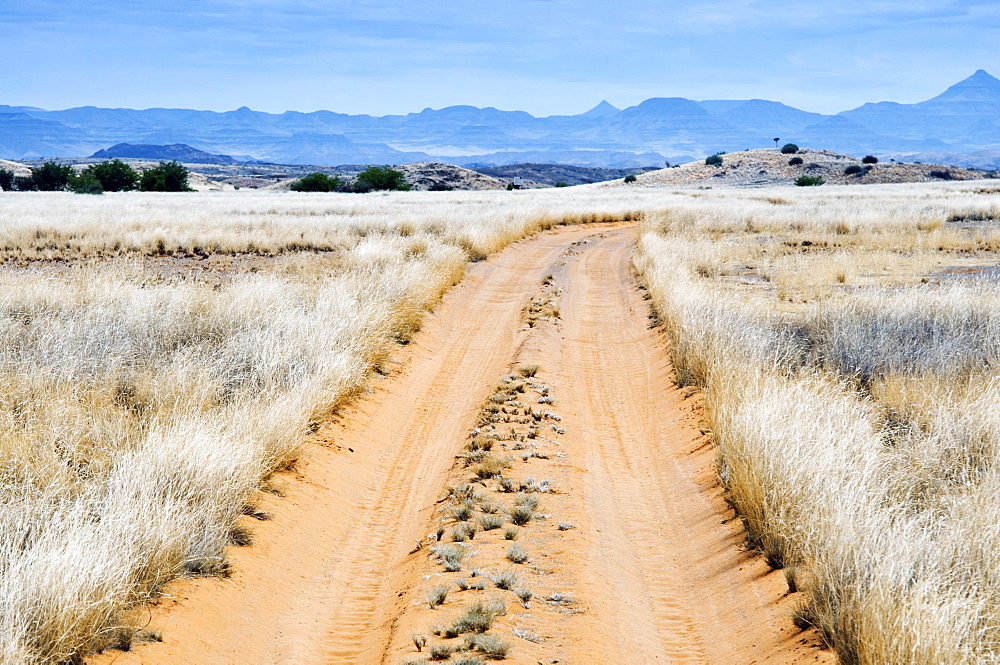 Damaraland, Kunene Region, Namibia, Africa