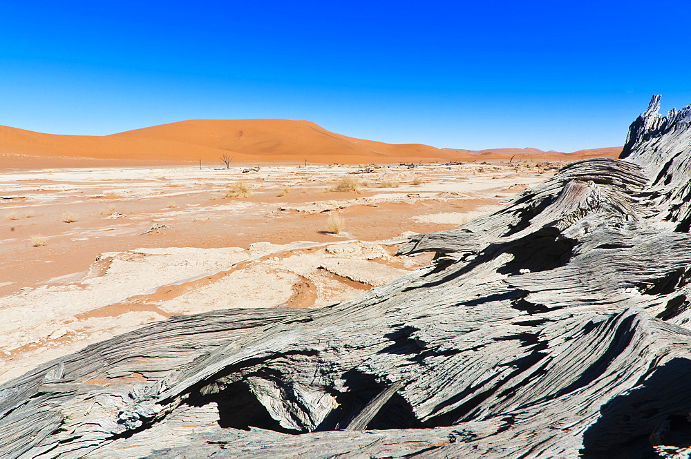 Sossusvlei, Namib Desert, Namib Naukluft Park, Namibia, Africa