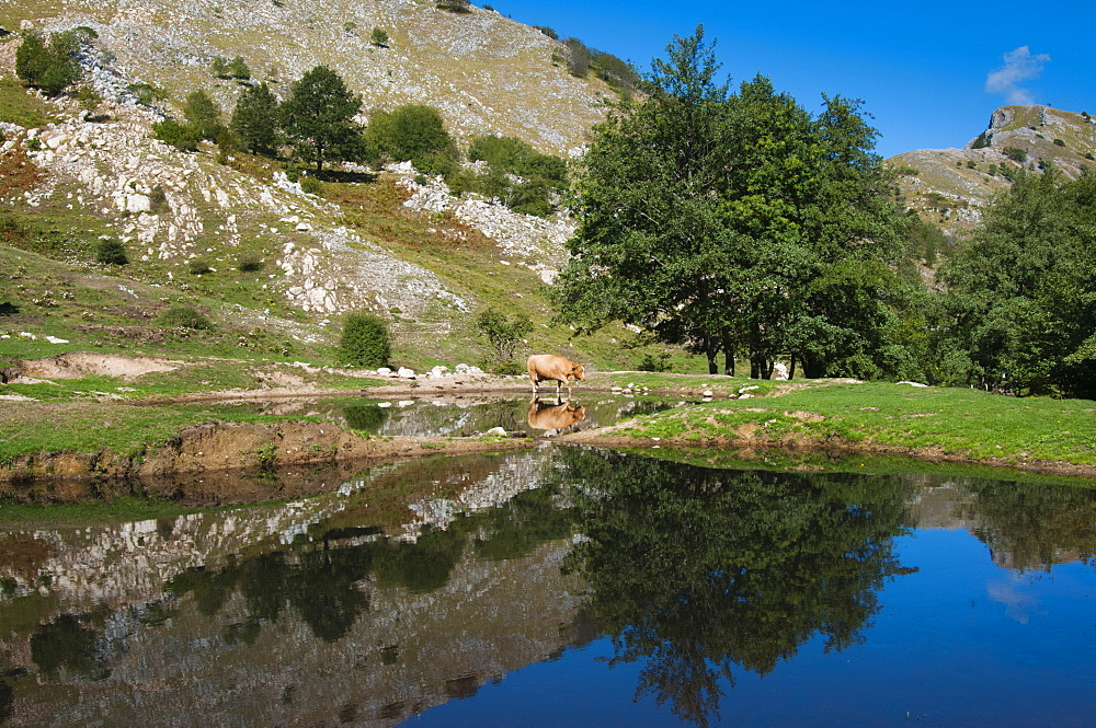 Lakes of Bozzone, Matanna Mountain (Monte Matanna), Apuan Alps (Alpi Apuane), Lucca Province, Tuscany, Italy, Europe