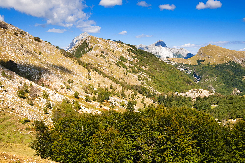 Matanna Mountain (Monte Matanna), Apuan Alps (Alpi Apuane), Lucca Province, Tuscany, Italy, Europe