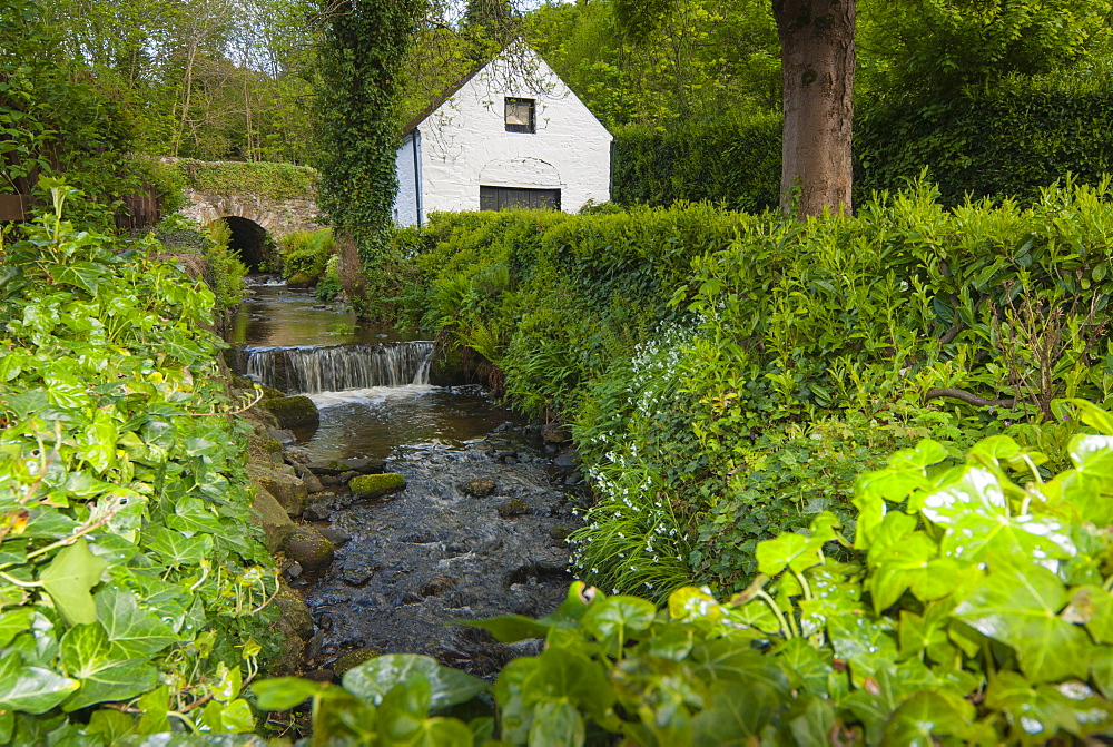 Avoca, County Wicklow, Leinster, Republic of Ireland (Eire), Europe