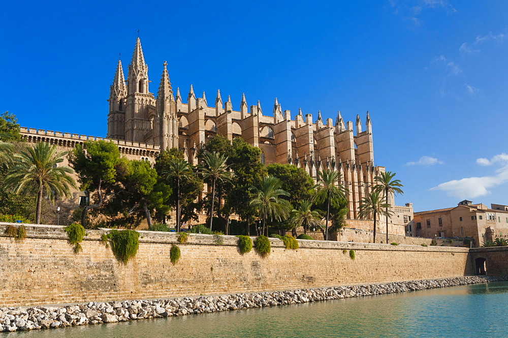 Cathedral of Santa Maria of Palma (La Seu), Palma de Mallorca, Majorca, Balearic Islands, Spain, Mediterranean, Europe