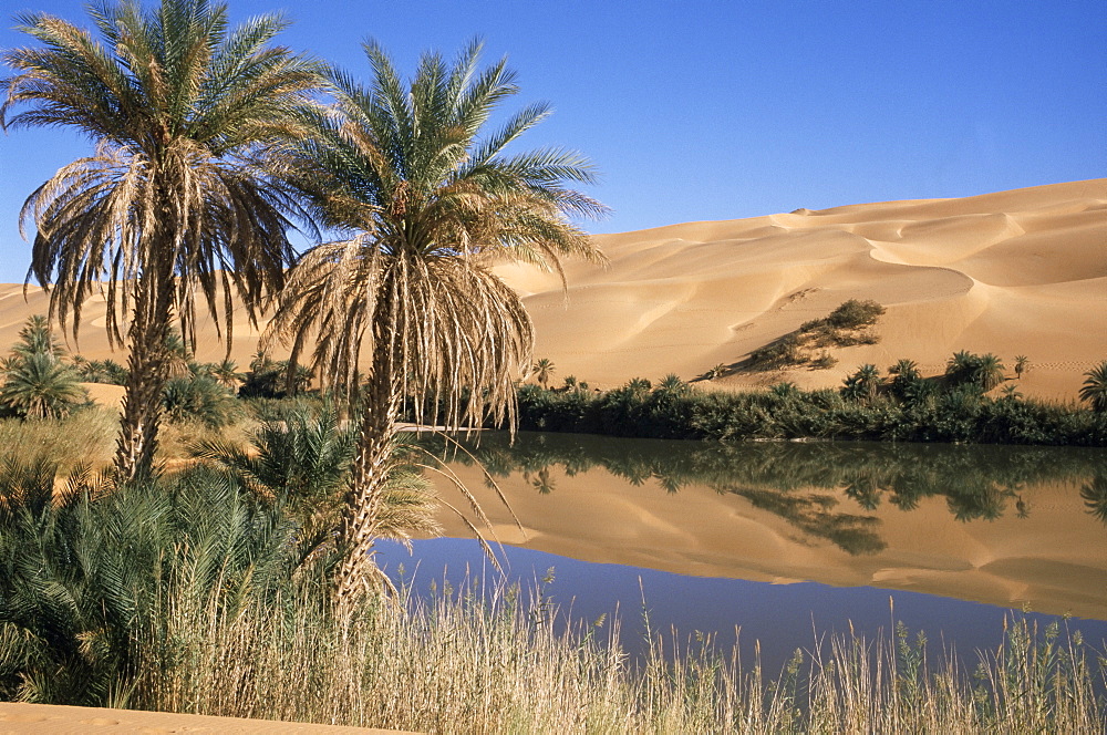 Oum el Ma (Umm el Ma) Lake, Mandara Valley, Southwest desert, Libya, North Africa, Africa