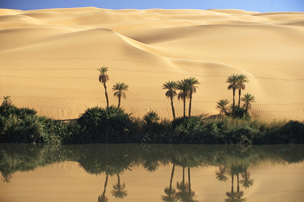 Oum el Ma (Umm el Ma) Lake, Mandara Valley, Southwest desert, Libya, North Africa, Africa