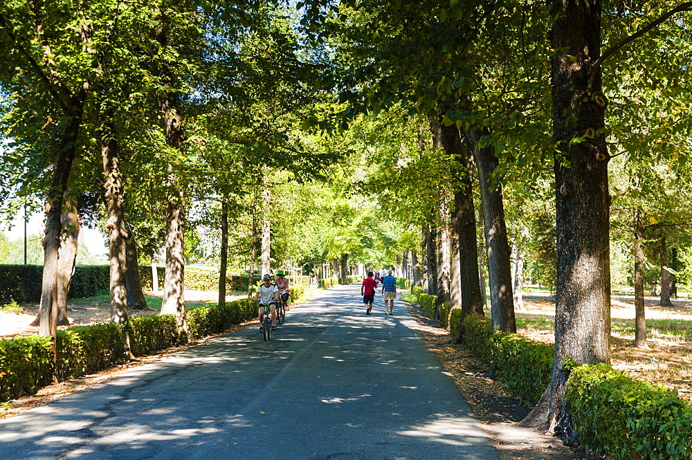 Park of Cascine (Parco delle Cascine), Florence (Firenze), Tuscany, Italy, Europe