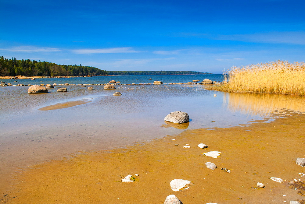 Baltic Sea, Vana-Juri Ots, Laane-Virumaa, Estonia, Baltic States, Europe