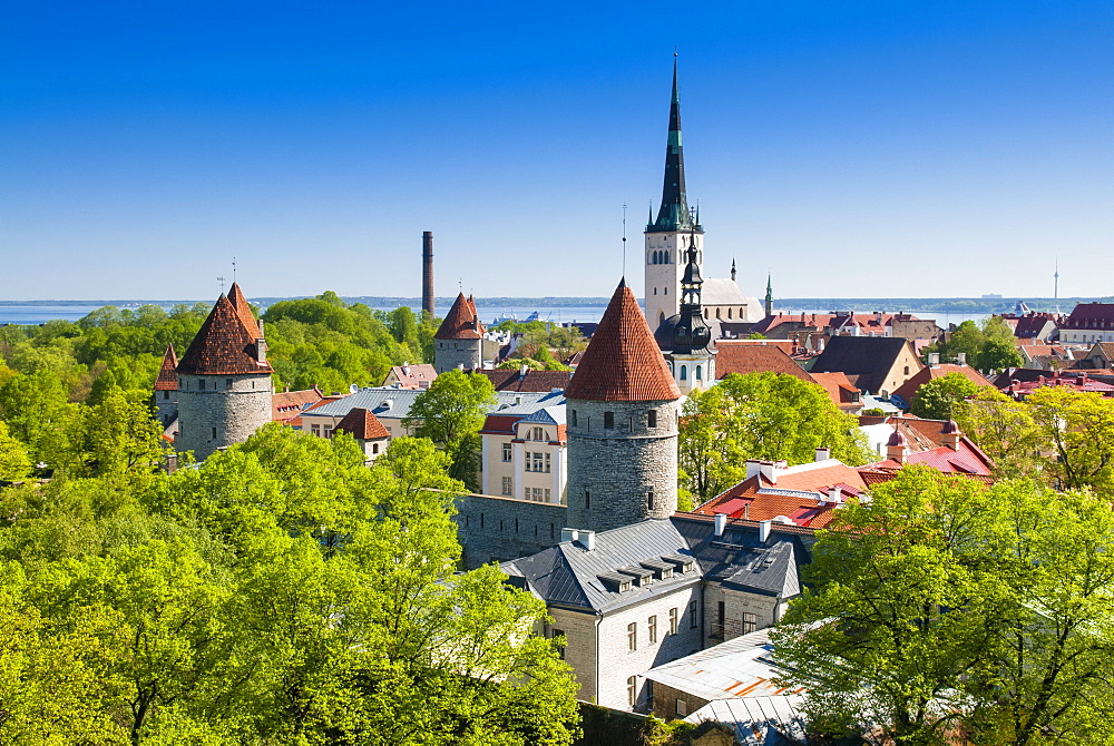 Medieval town walls and spire of St. Olav's church, Toompea hill, UNESCO World Heritage Site, Estonia, Baltic States, Europe