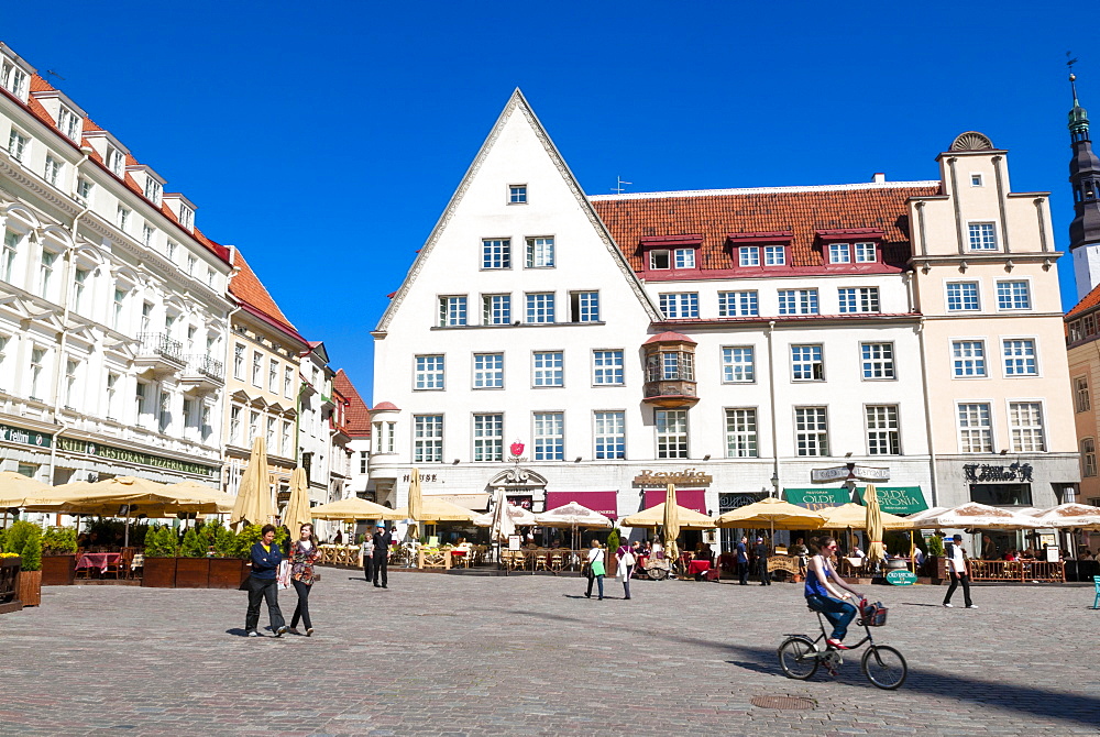 Raekoja Plats (Town Hall Square), Old Town of Tallinn, UNESCO World Heritage Site, Estonia, Baltic States, Europe