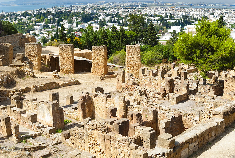 Byrsa Hill, Punic site at Carthage, UNESCO World Heritage Site, Tunis, Tunisia, North Africa, Africa