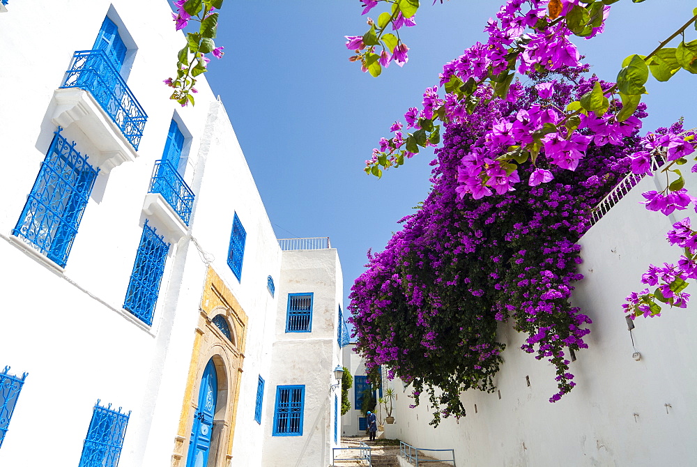 Street, Sidi Bou said, Tunisia, North Africa, Africa