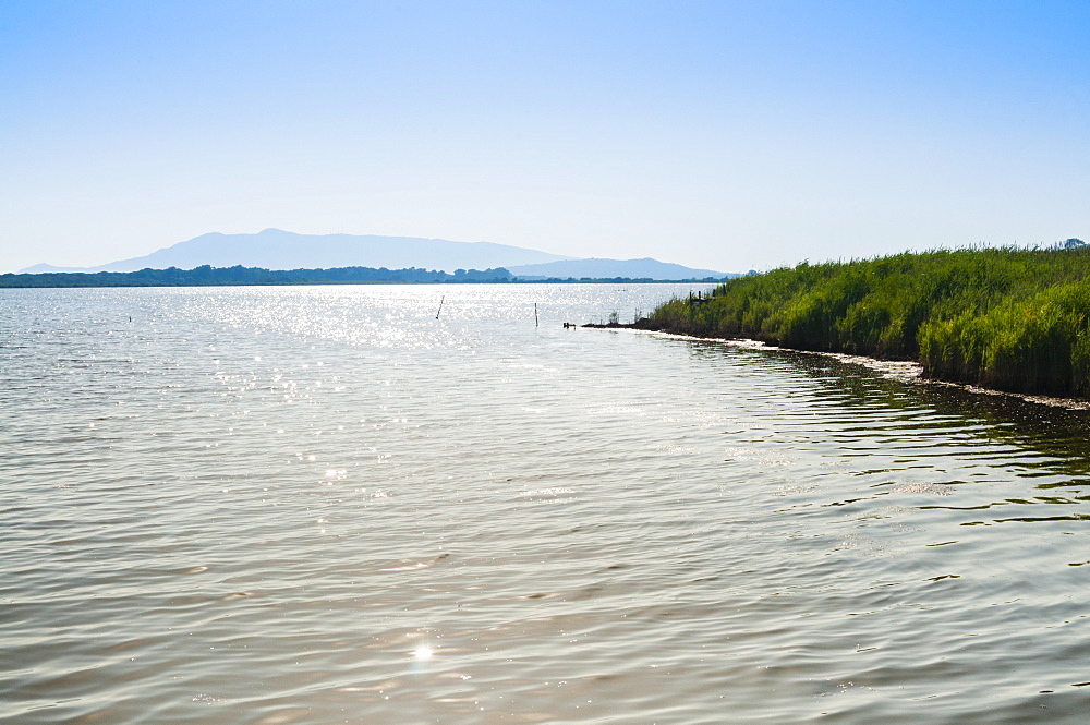 The WWF Oasis of Lake Burano, Capalbio, Grosseto Province, Tuscany, Italy, Europe