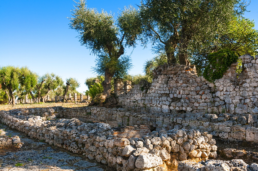 Ruins of Roman Forum, Roman town of Cosa, Ansedonia, Grosseto province, Tuscany, Italy, Europe