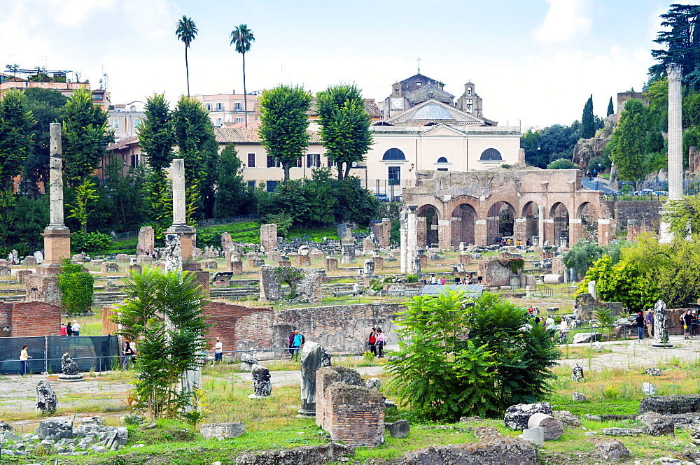 Forum of Nerva, Roman Forum (Foro Romano), UNESCO World Heritage Site, Rome, Lazio, Italy, Europe