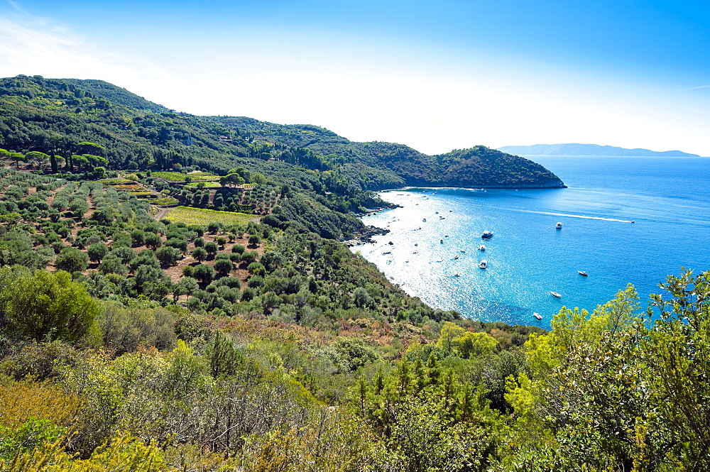 Monte Argentario, Grosseto province, Maremma, Tuscany, Italy, Europe