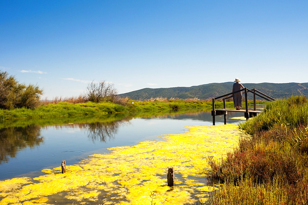 Orbetello Lagoon, Orbetello, Province of Grosseto, Maremma, Tuscany, Italy, Europe