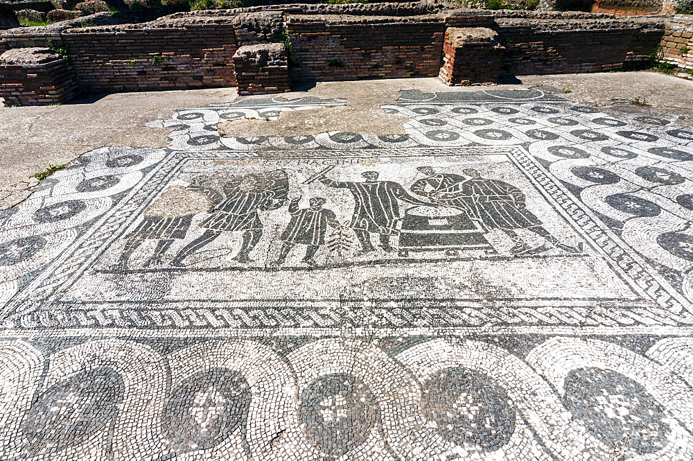 Mosaic, Aula dei misuratori del grano (grain meter room), Ostia Antica archaeological site, Ostia, Rome province, Lazio, Italy, Europe