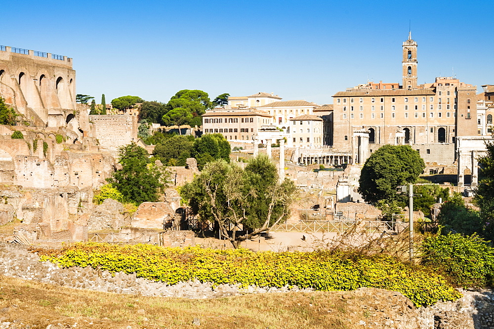 Roman Forum, Palatine Hill on the right, UNESCO World Heritage Site, Rome, Lazio, Italy, Europe