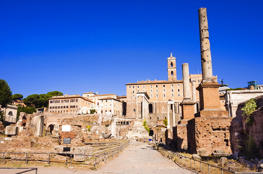 Columns tetrarchiche (honorary columns), Roman Forum, UNESCO World Heritage Site, Rome, Lazio, Italy, Europe