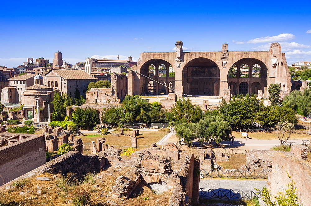 Basilica of Maxentius or Constantine seen from Palatine Hill, UNESCO World Heritage Site, Rome, Lazio, Italy, Europe