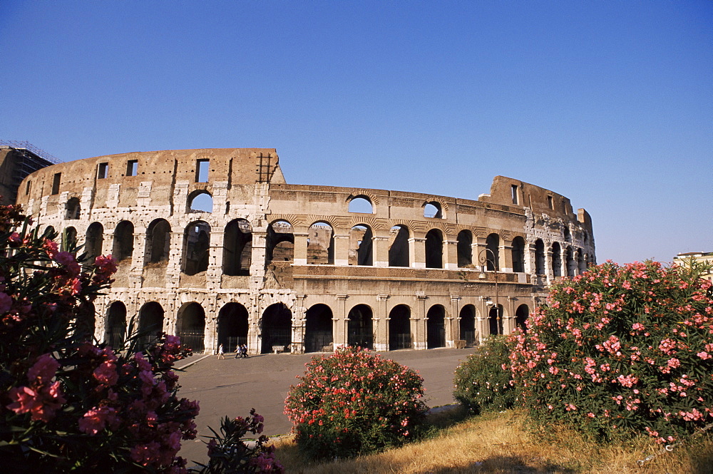 The Colosseum, Rome, Lazio, Italy, Europe