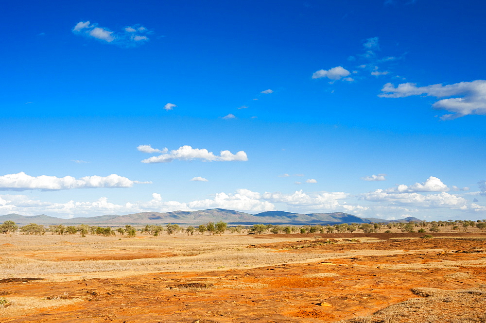 Savannah, Taita Hills Wildlife Sanctuary, Kenya, East Africa, Africa