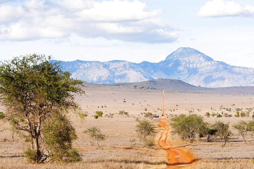 Trail in the Savannah, Taita Hills Wildlife Sanctuary, Kenya, East Africa, Africa