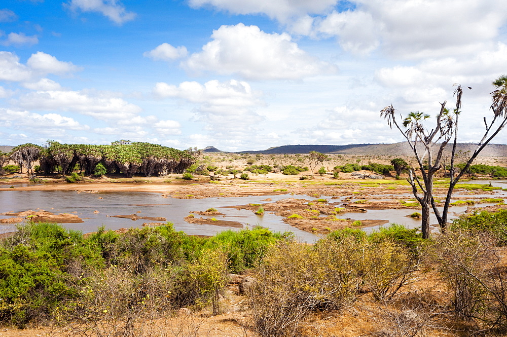 Galana River, Tsavo East National Park, Kenya, East Africa, Africa