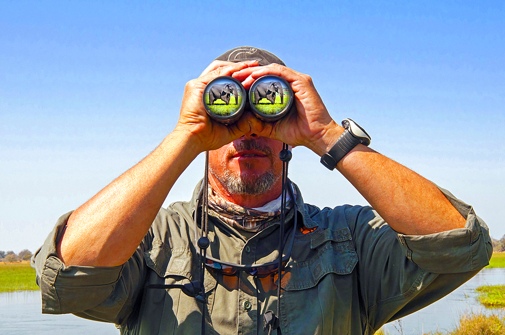 Safari guide watching an elephant (Loxodonta africana) with binoculars, Okawango delta, Botswana, Africa