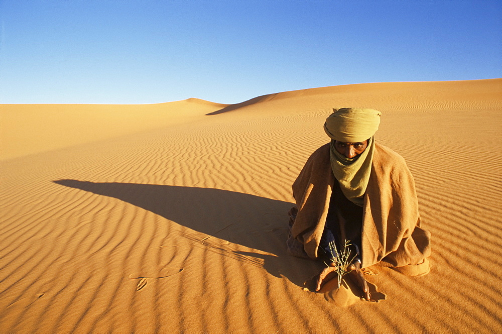 Akakus area, Southwest desert, Libya, North Africa, Africa