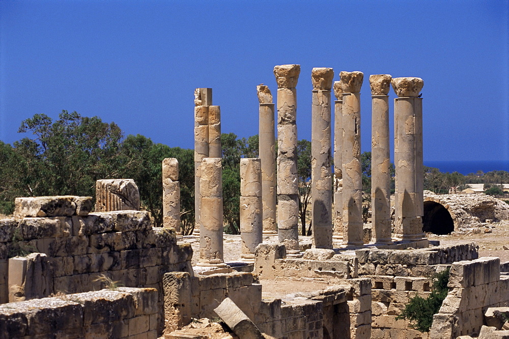 Palace columns, Tolemaide (Ptolemais), Cyrenaica, Libya, North Africa, Africa