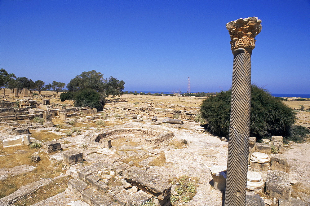 Capitals, thermal bath, Tolemaide (Ptolemais), Cyrenaica, Libya, North Africa, Africa