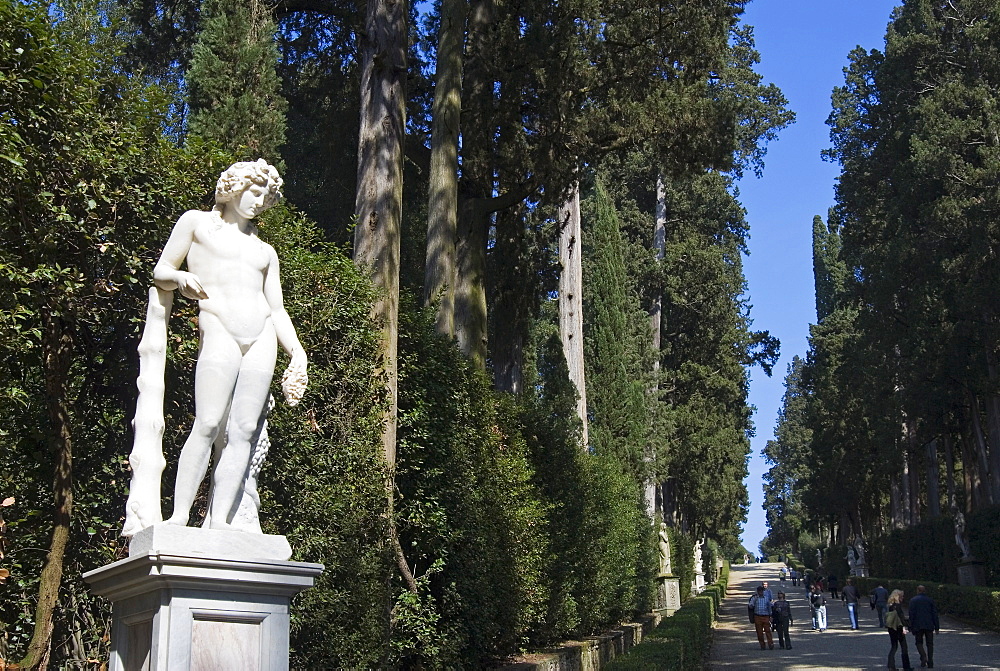 Viottolone, Viottolone Avenue, Boboli Gardens, Florence, Tuscany, Italy, Europe