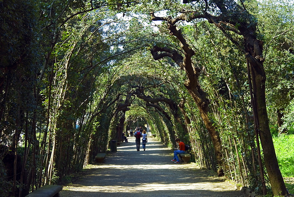 Cerchiata Grande, Boboli Gardens, Florence, Tuscany, Italy, Europe