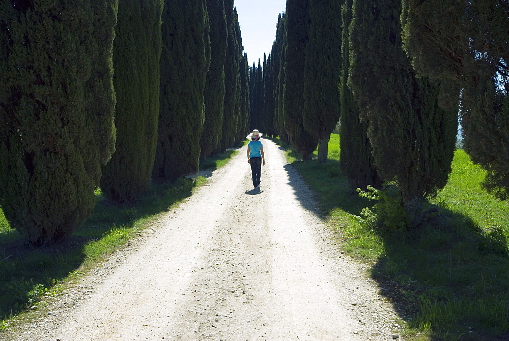 Road to Castello di Romena, Casentino, Arezzo, Tuscany, Italy, Europe