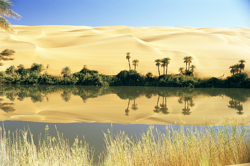 Oum el Ma Lake, Mandara Valley, Southwest Desert, Libya, North Africa, Africa