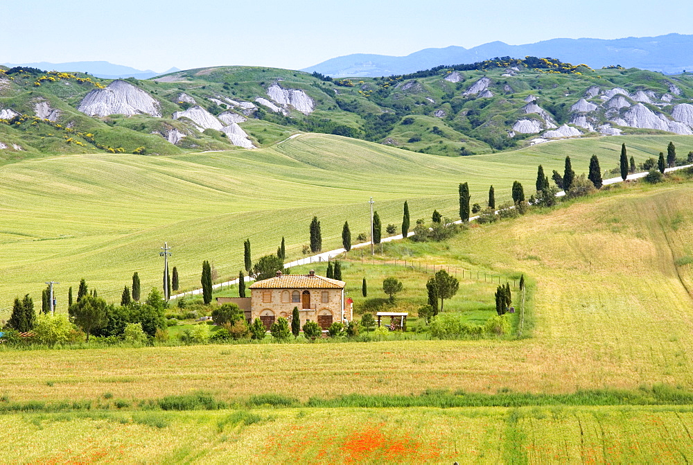 Crete Senesi area, near Asciano, Siena Province, Tuscany, Italy, Europe