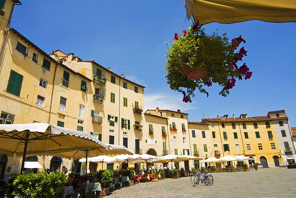 Piazza Anfiteatro, Lucca, Tuscany, Italy, Europe