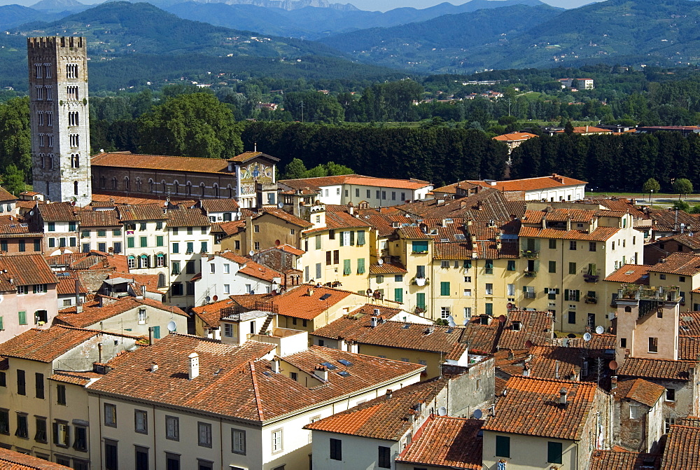 View of Lucca from Torre Guinigi, Lucca, Tuscany, Italy, Europe