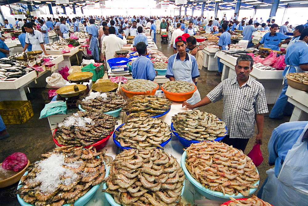 Fish Market, Dubai, United Arab Emirates, Middle East