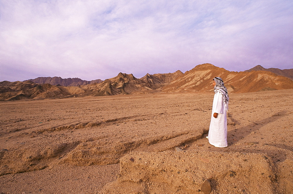 The Sinai desert, Egypt, North Africa, Africa