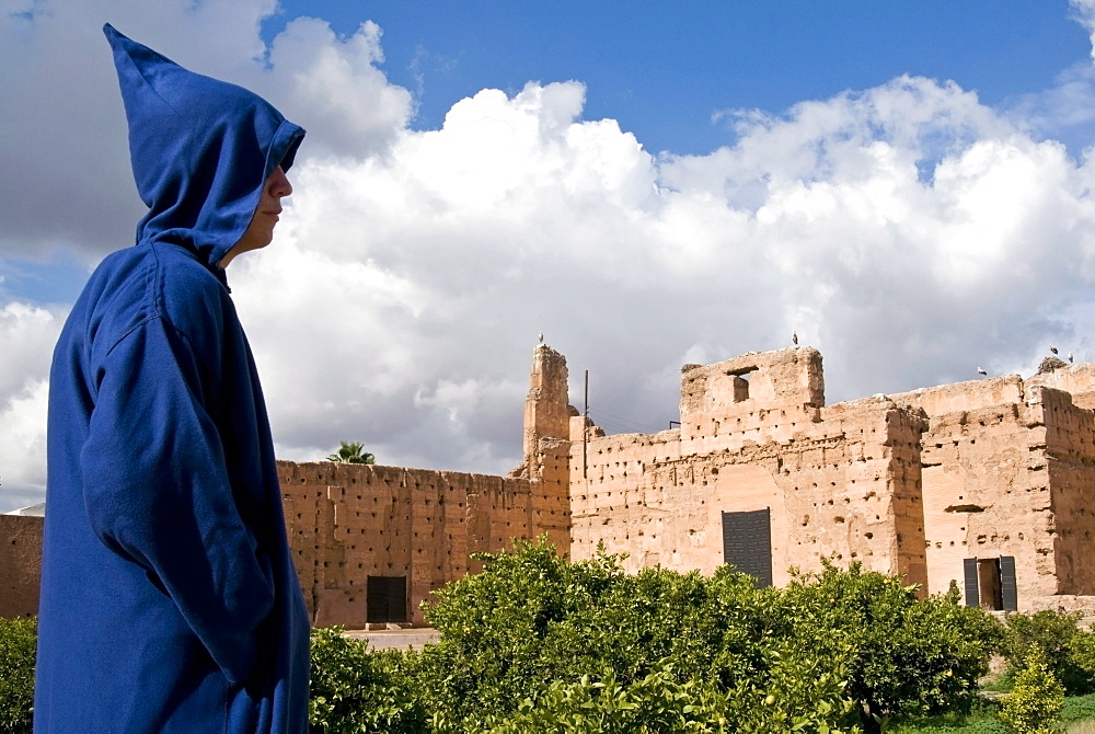 Ruins of the El Badi Palace, Marrakech (Marrakesh), Morocco, North Africa, Africa