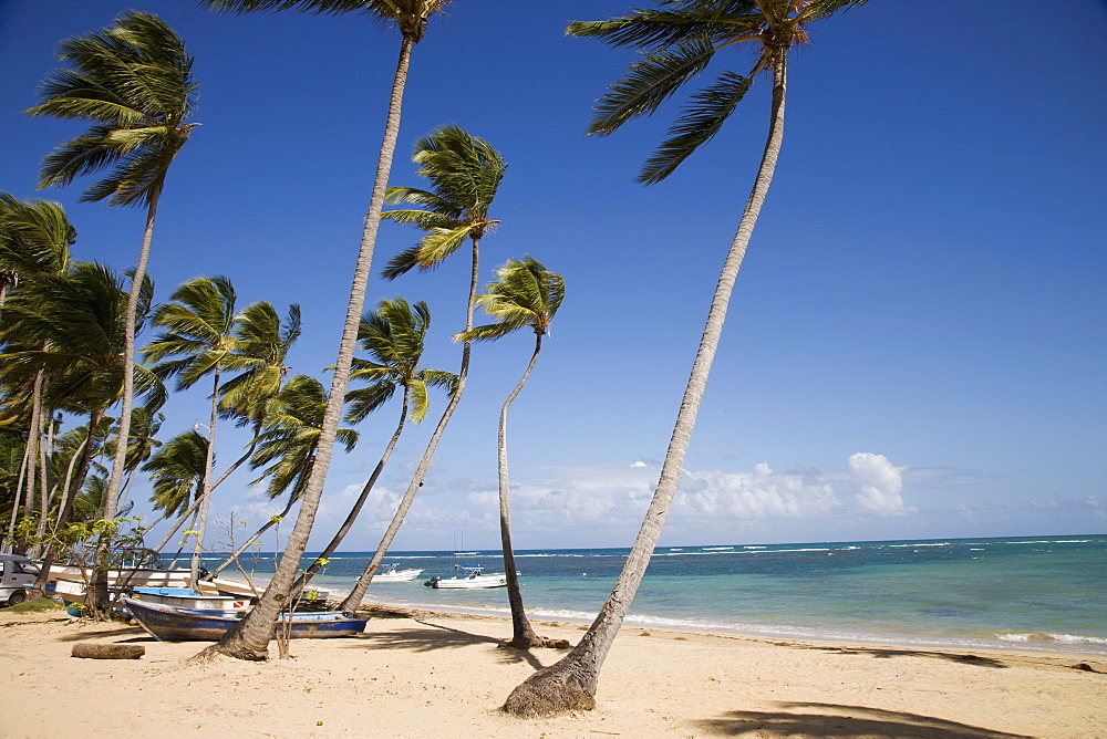 Las Terrenas, Samana Peninsula, Dominican Republic, West Indies, Caribbean, Central America