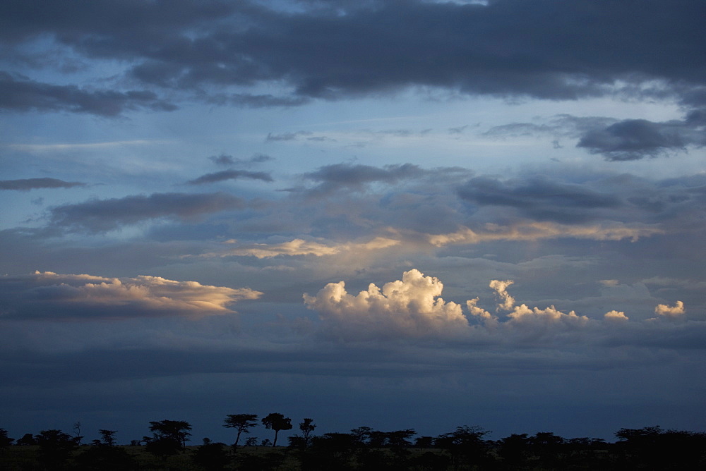 Masai Mara National Reserve, Kenya, East Africa, Africa