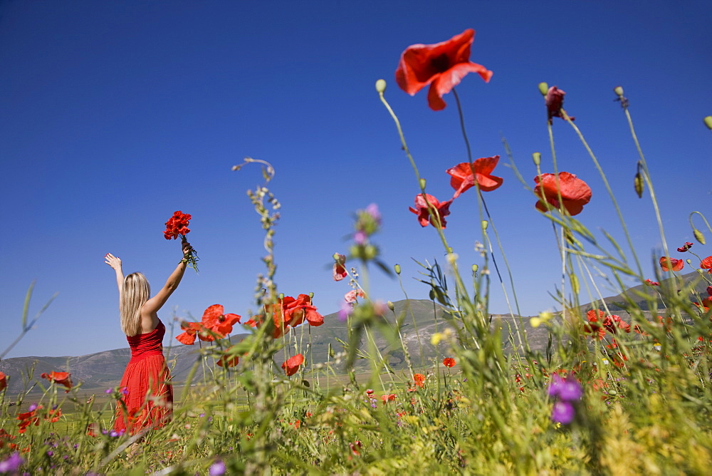 Woman in poppy field, Castelluccio di Norcia, Norcia, Umbria, Italy, Europe