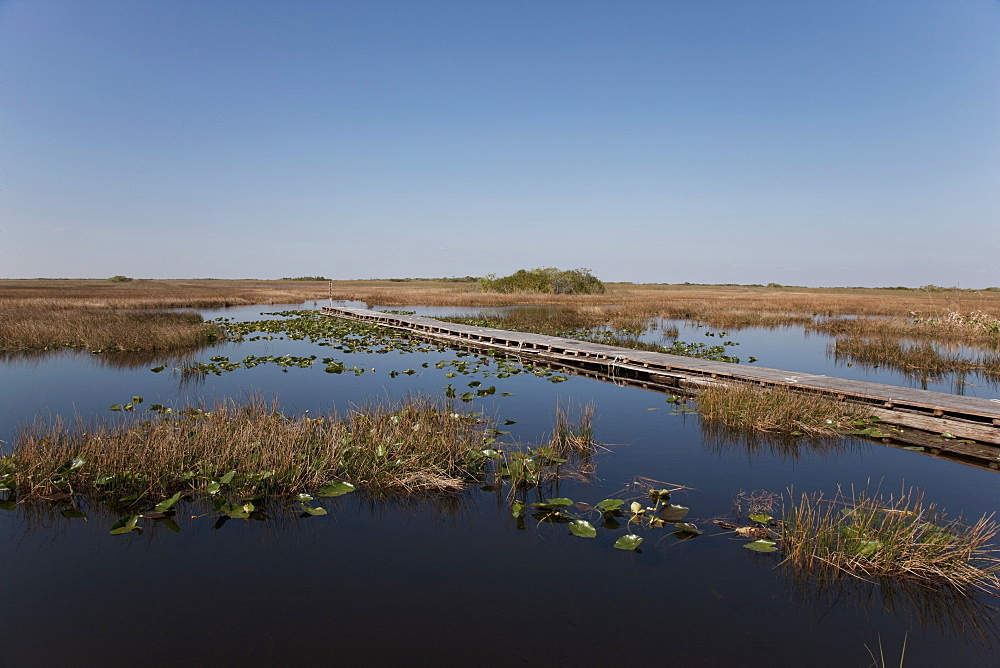 Everglades National Park, UNESCO World Heritage Site, Florida, United States of America, North America