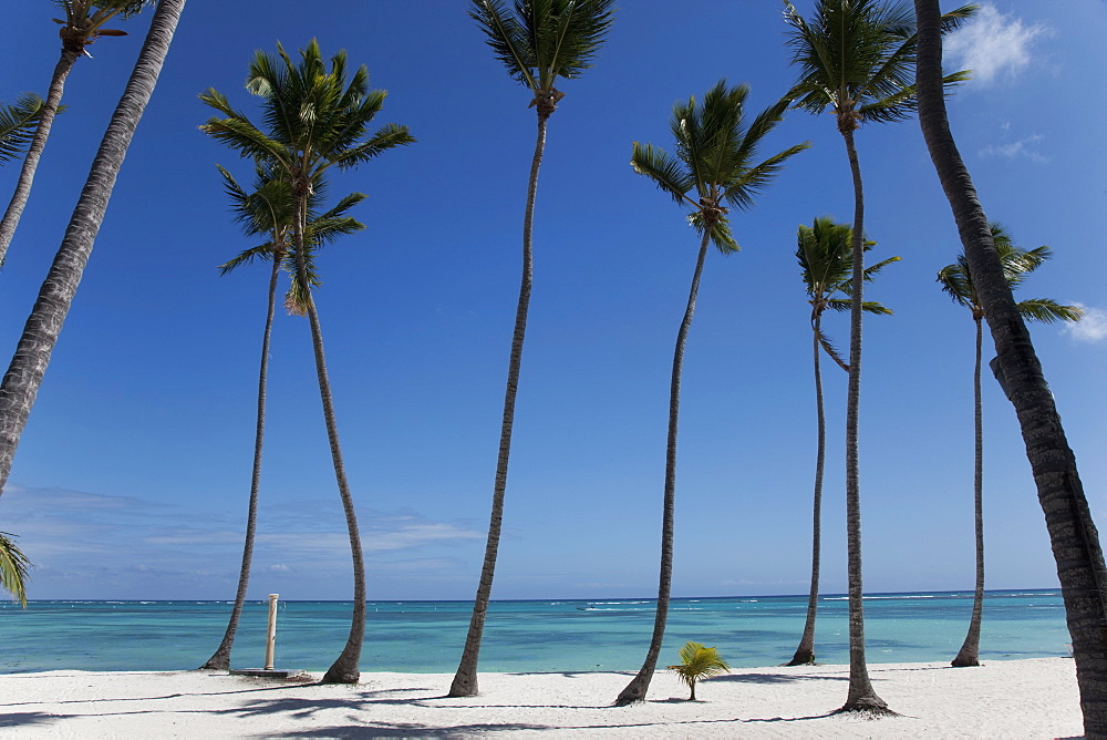 Punta Cana, Dominican Republic, West Indies, Caribbean, Central America