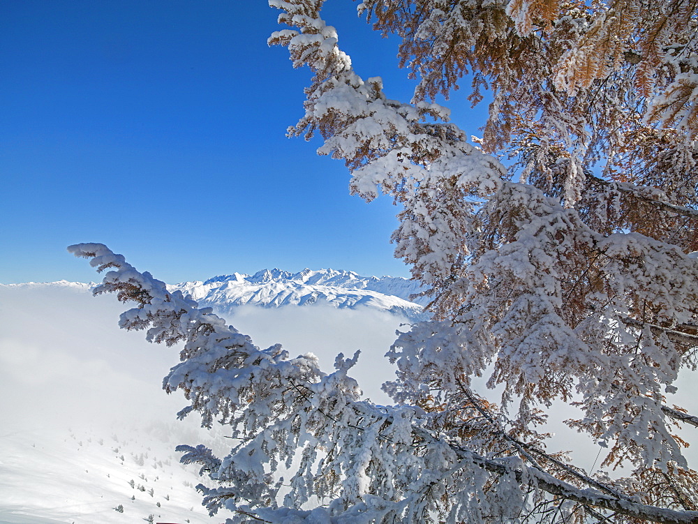 Bettmeralp, Wallis (Valais) Canton, Switzerland, Europe